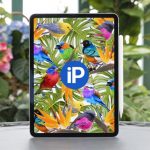 iPad Pro 2018 is powerful, slim, sleek, but not durable