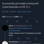 Pwn20wnd achieved working tweaks in iOS 12
