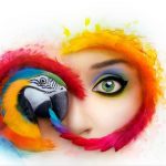 Adobe will raise the price of the plan for Lightroom and Photoshop twice