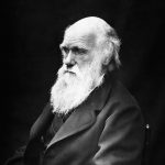 Альтернатива Дарвіну: морфіческого резонанс, Сальтаціонізм, LUCA і теорія схильності людини до насильства