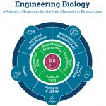 The Consortium for Engineering Biology of the United States presented industry development plans for 20 years