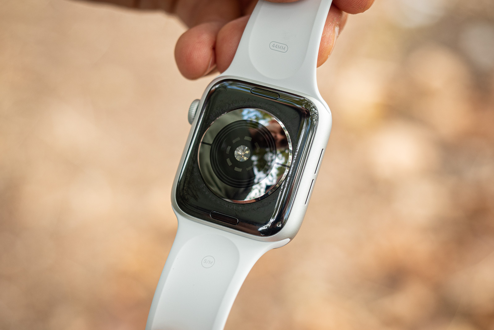 Apple watch обзор. Apple watch Series 6. Эппл вотч 6 датчик. Apple watch Series 6 5. Apple watch 6 сзади.