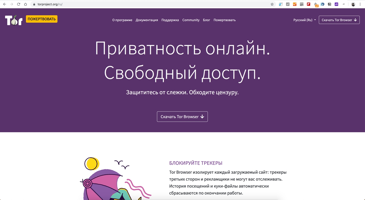 Сайты tor browser украина как выростит куст конопли
