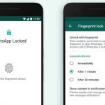 WhatsApp pentru Android Obține suportul scanerului de amprentă digitală