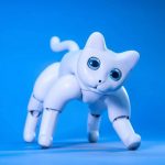 Kickstarter launches cutest robocot startup