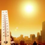 Scientists called 2019 a record hot in the history of observations