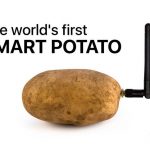 And this happens: a device for communication ... with potatoes was brought to CES 2020