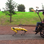 Chien robot utilisé comme cheval dans un harnais