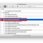 Does FaceTime automatically launch on Mac? (how to fix)