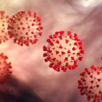 Created a website that calculates the chances of dying from coronavirus