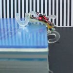Look at a flexible palm-sized robot - it can overcome obstacles above its height