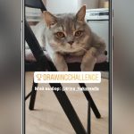 Provocare pe Instagram: ce este și cum să adăugați un autocolant