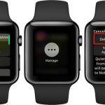 How to mute notification sound on Apple Watch