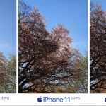 iPhone SE 2, iPhone 11 and iPhone XR: camera comparison