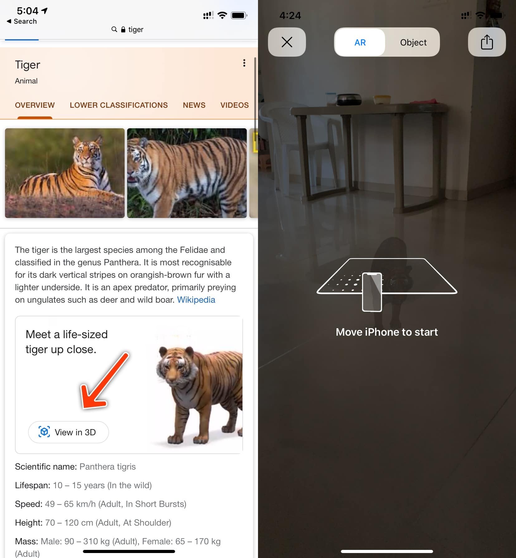 How To Fix When Google S View In 3d Animals Ar Object Doesn T Work 9to5google