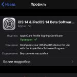 How to download and install iOS 14 beta 1 without a developer account and computer [PROFILE]