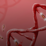 Vietnam announced an outbreak of a new strain of coronavirus