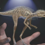 Scientists have found a tiny relative of dinosaurs and pterosaurs: see how it looks