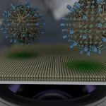 Cellular “membrane on a chip” will help to find a cure for COVID-19 faster