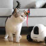 Xiaomi has developed a robot for entertaining pets