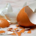 Eggshell surgical material created in Russia
