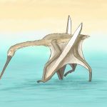 Scientists have found a turkey-sized pterosaur. It turned out to be a new kind