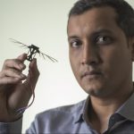 Дослідники навчать дронів літати як джмелі