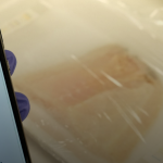 La technologie de bio-impression des mini-bourgeons est apparue