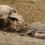 Scientists have discovered the deadly diet of ancient people