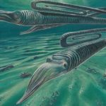Look at a huge clam with a paperclip shell. He lived for 200 years