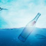 Glass bottles have harmed nature more than plastic