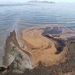 Salt lake in the US was polluted not with oil, but with billions of shrimp eggs