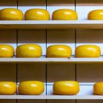 Named foods that prevent brain degradation in old age