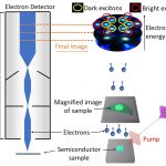 A device for observing dark excitons has been created