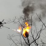 The Chinese began to exterminate wasps using drones with flamethrowers
