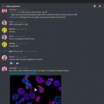 How Discord (by accident) invented the future of the Internet