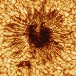 Astronomen haben das detaillierteste Foto eines Sonnenflecks veröffentlicht