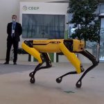 Sber has a robot dog