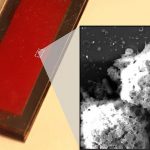 Des scientifiques cultivent des cellules tueuses naturelles à l'aide d'une puce microfluidique