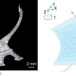 Scientists used light to speed up 3D printing