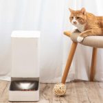 ?Xiaomi smart feeder for ? cats and dogs