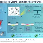 The new polymer reacts to mechanical stress almost like muscle