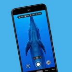 Google update adds underwater photography to company smartphones