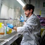 Robotic system tests thousands of blood samples for coronavirus at a time