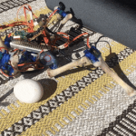 „Fratele cel mare” pentru pui: ce se întâmplă dacă puii încep să comunice cu roboții