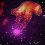 Astronomers observed an unusual space "jellyfish" on a radio telescope