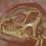 Харчові ланцюжки динозаврів: як і ким харчувалися древні ящери