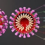 More often strikes young people: what science knows about the South African strain of COVID-19