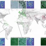 Супутникова карта показує вплив людей на Землю за 20 років