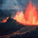 How and when did the ancestor of all living things appear on our planet?